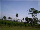 Vistas desde la Carretera, Belice